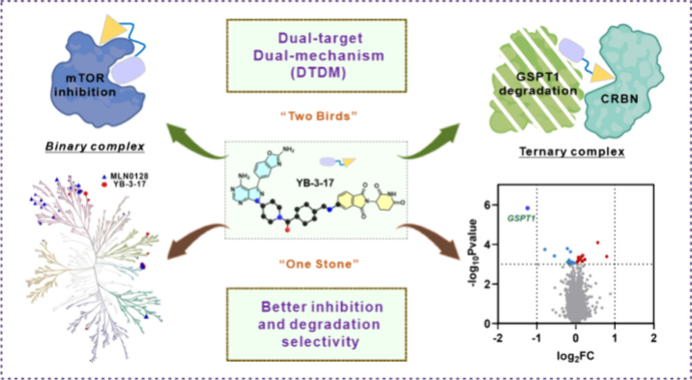 A Dual-Target and Dual-Mechanism Design Strategy by Combining Inhibition and Degradation Together
