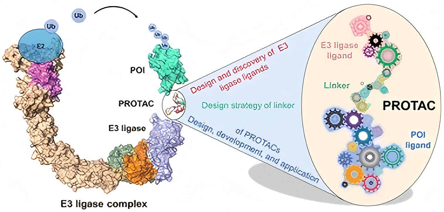 Chemistries of bifunctional PROTAC degraders
