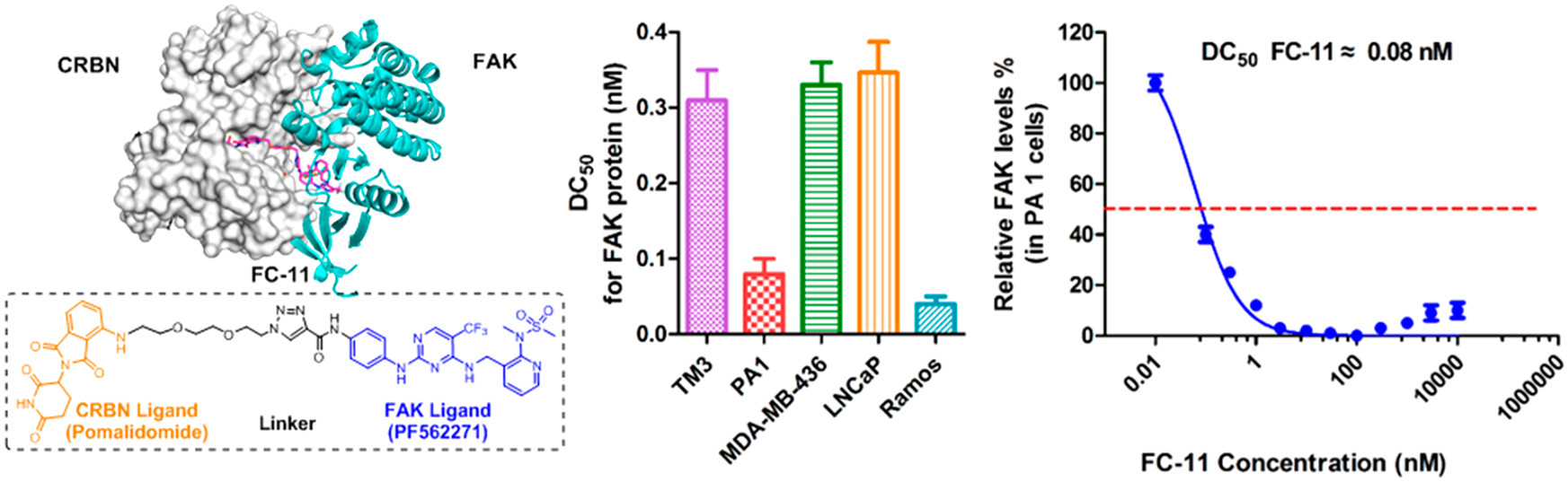 Design, Synthesis, and Evaluation of Highly Potent FAK-Targeting PROTACs