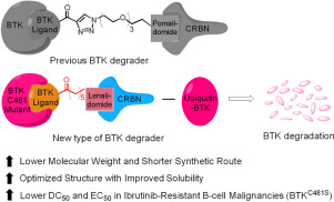 Developing potent BTKC481S PROTACs for ibrutinib-resistant malignant lymphoma