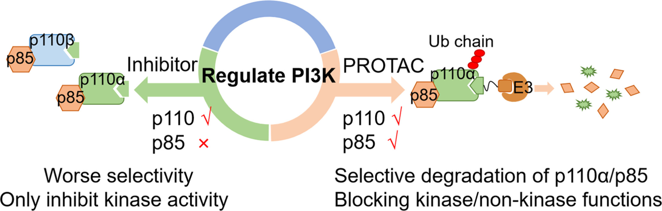 Developing selective PI3K degraders to modulate both kinase and non-kinase functions