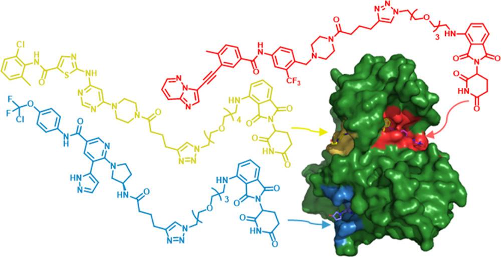 Global PROTAC Toolbox for Degrading BCR ABL Overcomes Drug-Resistant Mutants and Adverse Effects