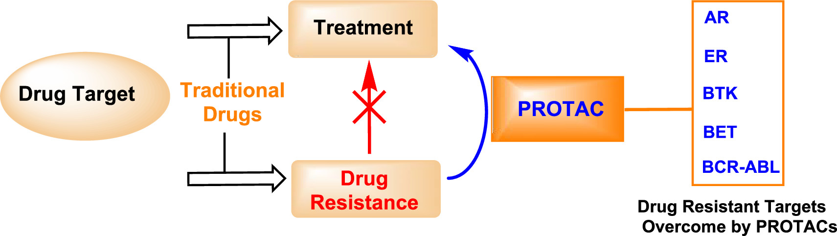 PROTACs as Potential Therapeutic Agents for Cancer Drug Resistance