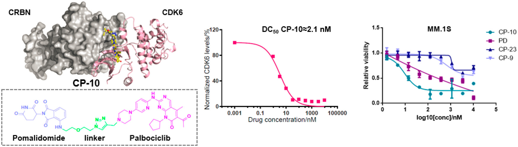 Potent and Preferential Degradation of CDK6 via Proteolysis Targeting Chimera Degraders