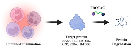 The application of PROTACs in immune-inflammation diseases